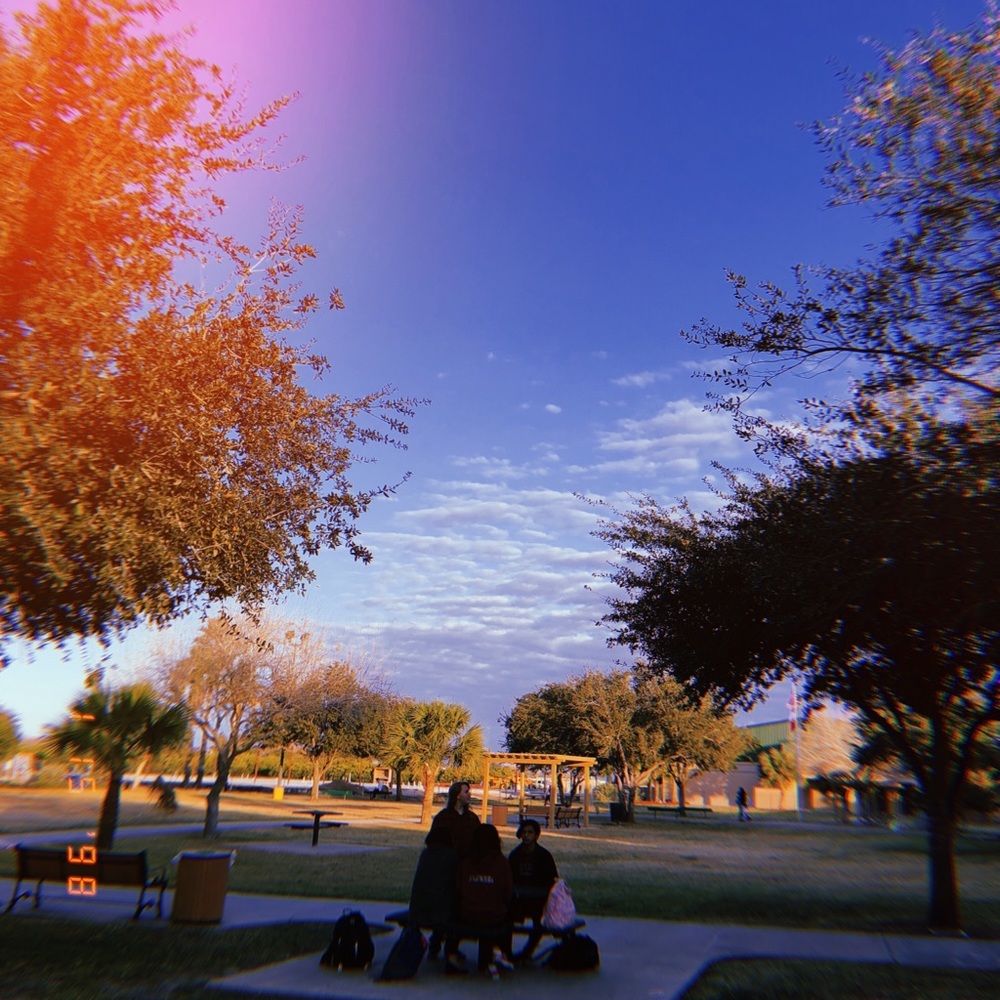 Meet your Posher, Madison